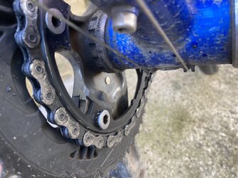 IMG_6264.jpeg IMG_6264.jpeg