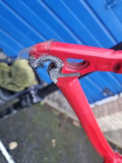 20251109_151931.jpg 20251109_151931.jpg