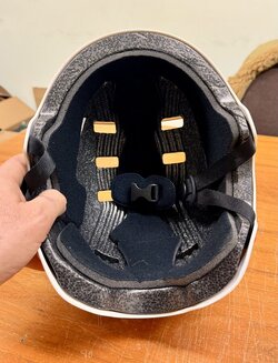 IMG_4228.jpeg IMG_4228.jpeg