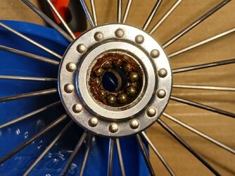 20251217_104714.jpg 20251217_104714.jpg