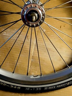 20251217_122114.jpg 20251217_122114.jpg