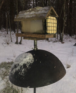 added suet cage c.jpg