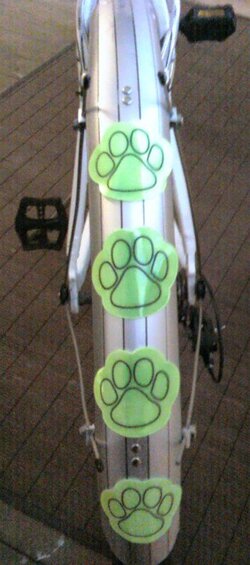 Paws on bike (2).jpg Paws on bike (2).jpg