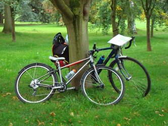 bikes.jpg