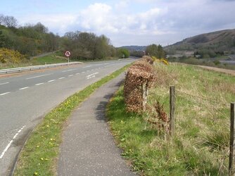 DSCN4793.JPG