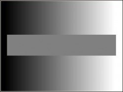 Is the horizontal bar the same value of gray throughout_.jpg