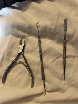 IMG_0116.jpeg IMG_0116.jpeg