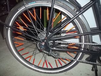 100_0313.JPG
