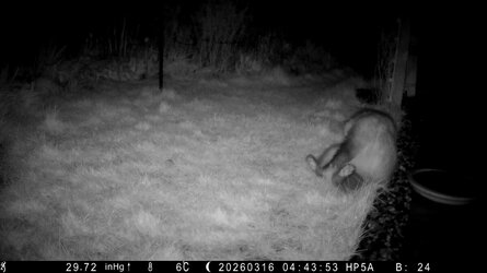 HP5A0793_Bitch - frame at 0m17s.jpg