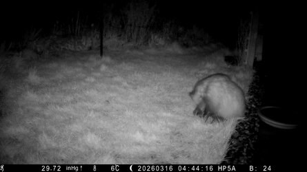 HP5A0794_Bitch - frame at 0m8s.jpg