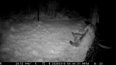 HP5A0795_Bitch - frame at 0m22s.jpg