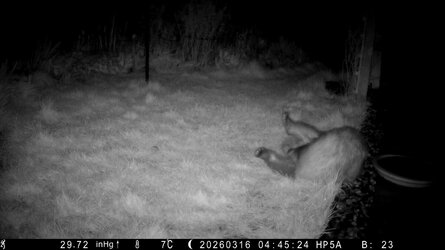 HP5A0795_Bitch - frame at 0m55s.jpg