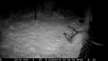 HP5A0796_Bitch - frame at 0m26s.jpg