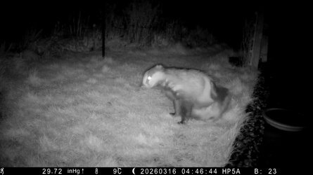 HP5A0796_Bitch - frame at 1m10s.jpg