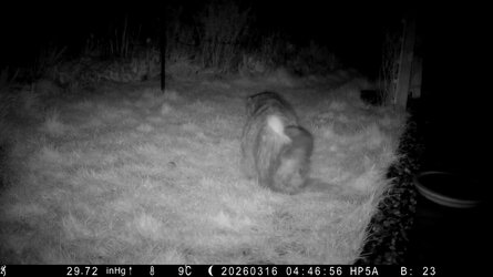 HP5A0796_Bitch - frame at 1m22s.jpg