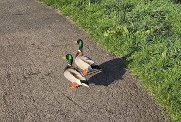 20260318_081323.jpg 20260318_081323.jpg