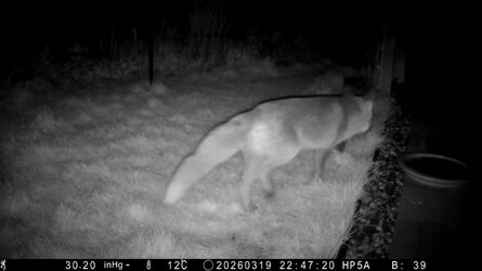 HP5A0841 - frame at 0m0s.jpg HP5A0841 - frame at 0m0s.jpg