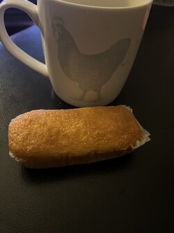 IMG_9037.jpeg
