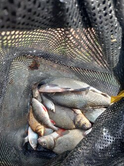 20260224_142440 (1).jpg