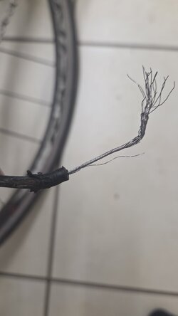 IMG-20260323-WA0007.jpeg
