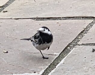 20260326_161347.jpg