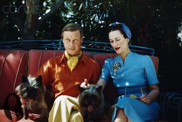 Duke-of-Windsor-in-Polo-Shirt-with-Ascot.jpg