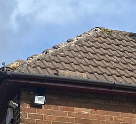 IMG-20260405-WA0005.jpg IMG-20260405-WA0005.jpg