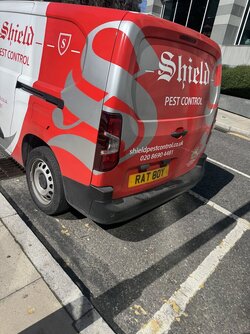 IMG_3250.jpeg