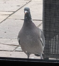 20260410_170757.jpg 20260410_170757.jpg