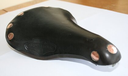 Professional S (3).JPG