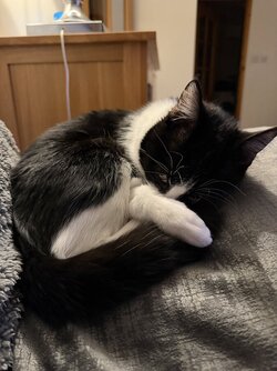 IMG_1454.jpeg