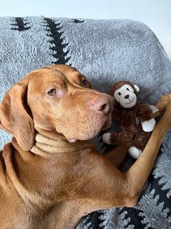 IMG_2066.jpeg