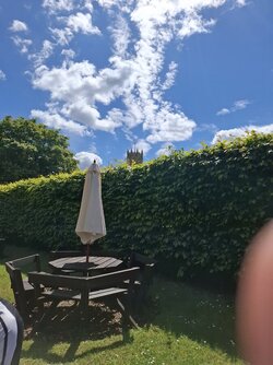 20260516_121752.jpg