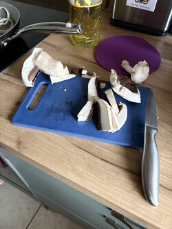 IMG_0285.jpeg