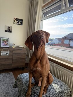 IMG_3130.jpeg