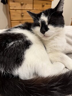 IMG_3670.jpeg