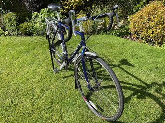 IMG_0738.jpeg