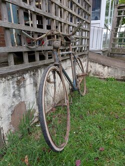 PXL_20260604_084033331.jpg
