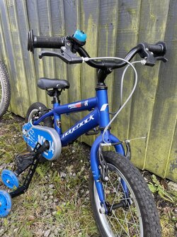 IMG_1111.jpeg
