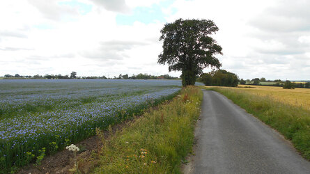 DSCN1044.JPG