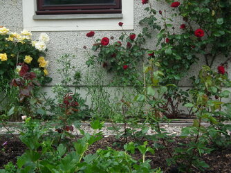 DSCF6013.JPG