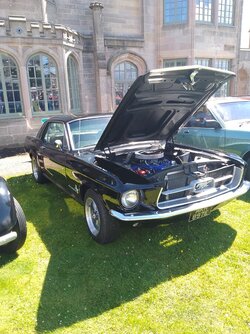 IMG_20260620_120205_624.jpg
