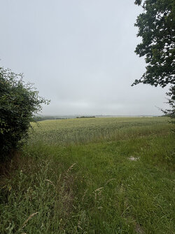 IMG_7220.jpeg