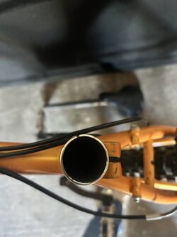 IMG_4511.jpeg