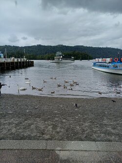 20260630_125253.jpg