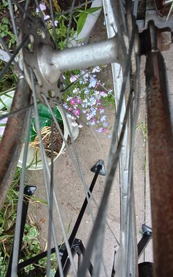 IMG_20260704_152101570.jpg