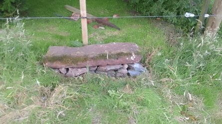 Pond bench.jpeg