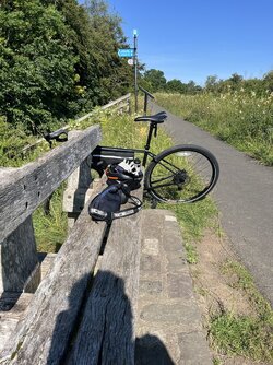 IMG_6202.jpeg