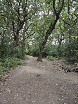 20260717_065233.jpg