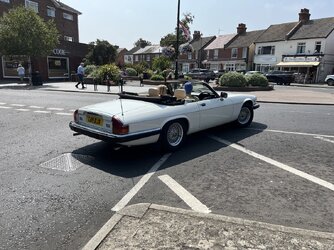 IMG_6375.jpeg